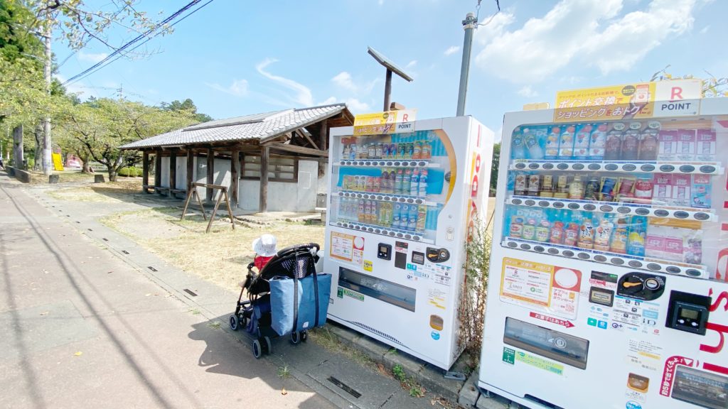 飯能河原に行ってきたよ 駐車場情報をシェアします ライオンの子育て