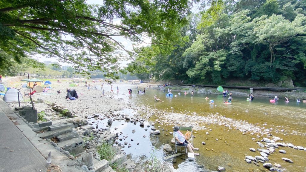 飯能河原に行ってきたよ 駐車場情報をシェアします ライオンの子育て