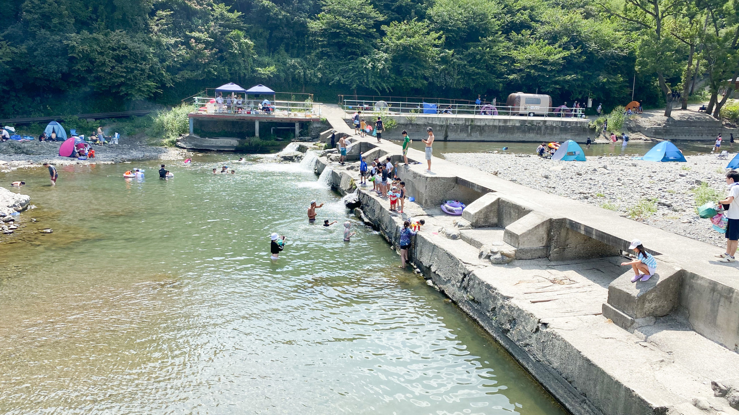 飯能河原に行ってきたよ 駐車場情報をシェアします ライオンの子育て